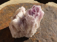 Natural Sugar Amethyst Clusters  x 12 From Solwezi, Zambia - Toprock Gemstones and Minerals 