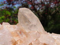 Natural Quartz Crystal Cluster x 1 From Serenje, Zambia - TopRock