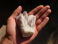 Natural Sugar Amethyst Clusters  x 12 From Solwezi, Zambia - Toprock Gemstones and Minerals 