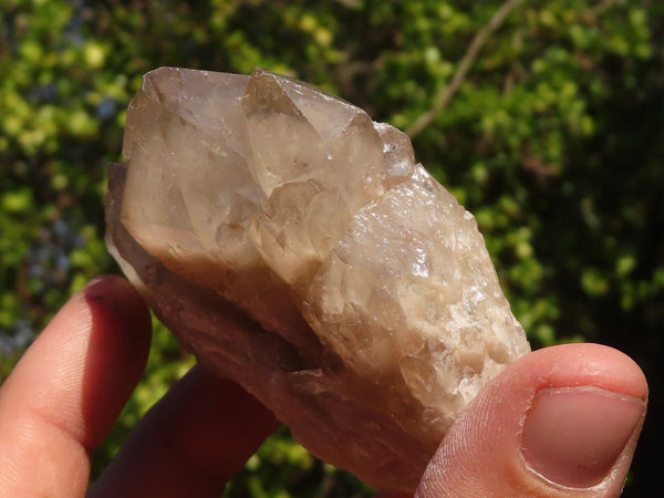 Natural Cascading Smokey Quartz Clusters x 6 From Luena, Congo