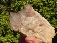 Natural Cascading Smokey Quartz Clusters x 6 From Luena, Congo