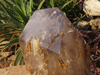 Polished A Grade Extra Large Smokey Clear Sceptre Window Quartz Crystal x 1 From Akansobe, Madagascar - TopRock