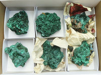 Natural Chatoyant Silky Malachite Specimens  x 6 From Kasompe, Congo - Toprock Gemstones and Minerals 