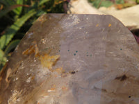 Polished A Grade Extra Large Smokey Clear Sceptre Window Quartz Crystal x 1 From Akansobe, Madagascar - TopRock