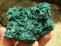 Natural Chatoyant Silky Malachite Specimens  x 6 From Kasompe, Congo - Toprock Gemstones and Minerals 