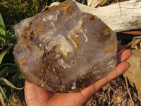 Polished A Grade Extra Large Smokey Clear Sceptre Window Quartz Crystal x 1 From Akansobe, Madagascar - TopRock