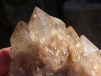 Natural Cascading Smokey Quartz Clusters x 6 From Luena, Congo