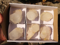 Natural Large Single Castle Quartz Crystals x 6 From Ivato, Madagascar