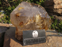 Polished A Grade Extra Large Smokey Clear Sceptre Window Quartz Crystal x 1 From Akansobe, Madagascar - TopRock