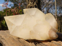 Natural Large Single Castle Quartz Crystals x 6 From Ivato, Madagascar