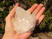 Natural Large Single Castle Quartz Crystals x 6 From Ivato, Madagascar