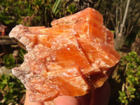 Natural New Sunset Orange Calcite Specimens  x 12 From Spitzkop, Namibia