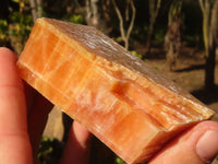 Natural New Sunset Orange Calcite Specimens  x 12 From Spitzkop, Namibia