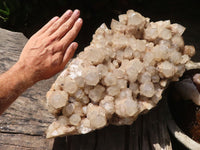 Natural Giant White Phantom Smokey Quartz Cluster  x 1 From Luena, Congo - TopRock