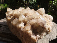 Natural Giant White Phantom Smokey Quartz Cluster  x 1 From Luena, Congo - TopRock