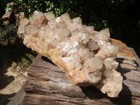 Natural Giant White Phantom Smokey Quartz Cluster  x 1 From Luena, Congo - TopRock