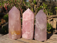 Polished Pink Rose Quartz Points x 3 From Ambatondrazaka, Madagascar