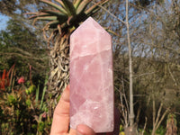 Polished Pink Rose Quartz Points x 3 From Ambatondrazaka, Madagascar