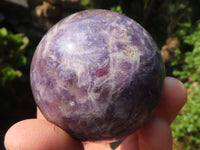 Polished Purple Lepidolite Spheres With Rubellite On Some  x 6 From Madagascar - Toprock Gemstones and Minerals 