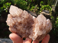 Natural Pineapple Candle Quartz Clusters  x 4 From Madagascar - Toprock Gemstones and Minerals 