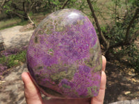 Polished Stunning Purple Stichtite Standing Free Forms  x 2 From Barberton, South Africa - TopRock