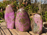 Polished  Purple Stichtite & Serpentine Standing Free Forms x 3 From Barberton, South Africa