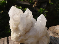 Natural Pineapple Candle Quartz Clusters  x 4 From Madagascar - Toprock Gemstones and Minerals 