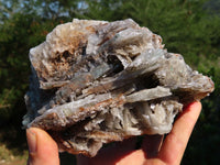 Natural Barite Crystal Specimen x 1 From Tenke Fungurume, Congo - TopRock