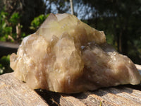 Natural Cascading White Phantom Smokey Quartz Clusters  x 6 From Luena, Congo - Toprock Gemstones and Minerals 