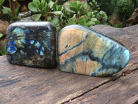 Polished Flashy Labradorite Standing Free Forms  x 2 From Tulear, Madagascar - TopRock