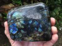 Polished Flashy Labradorite Standing Free Forms  x 2 From Tulear, Madagascar - TopRock