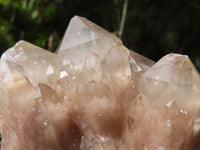 Natural Cascading White Phantom Smokey Quartz Clusters  x 6 From Luena, Congo - Toprock Gemstones and Minerals 