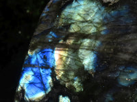 Polished Flashy Labradorite Standing Free Forms  x 2 From Tulear, Madagascar - TopRock