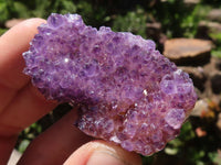 Natural Dark "Amethystos" Amethyst Clusters  x 24 From Kwaggafontein, South Africa - TopRock