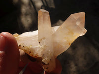 Natural Smokey Quartz Crystal Clusters  x 24 From Madagascar