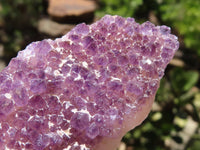 Natural Dark "Amethystos" Amethyst Clusters  x 24 From Kwaggafontein, South Africa - TopRock