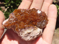 Natural Dark "Amethystos" Amethyst Clusters  x 24 From Kwaggafontein, South Africa - TopRock