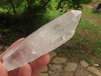 Natural Single Clear Quartz Crystals  x 49 From Madagascar - TopRock