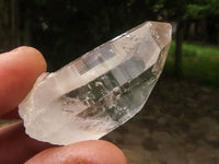 Natural Single Clear Quartz Crystals  x 49 From Madagascar - TopRock