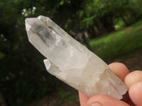 Natural Single Clear Quartz Crystals  x 49 From Madagascar - TopRock