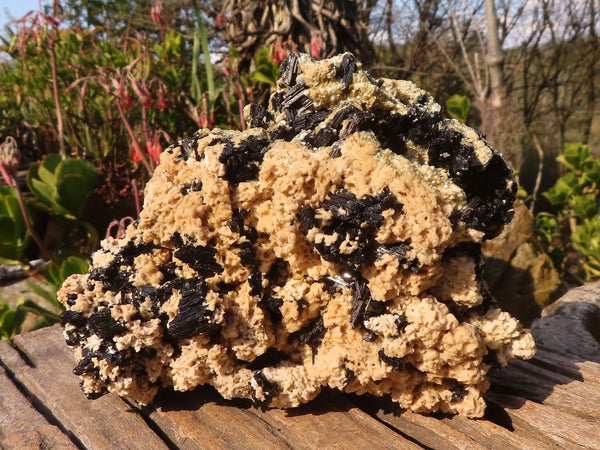 Natural Large Schorl Black Tourmaline Specimen x 1 From Erongo, Namibia