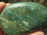 Polished Green Verdite Free Forms  x 6 From Zimbabwe - TopRock