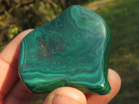 Polished Highly Selected Flower & Banded Malachite Free Forms  x 6 From Congo - TopRock