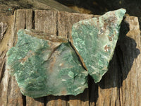 Natural Rough Green Jade Specimens  x 12 From Swaziland - Toprock Gemstones and Minerals 