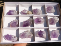 Natural Single Jacaranda Amethyst Crystals  x 12 From Solwezi, Zambia - Toprock Gemstones and Minerals 