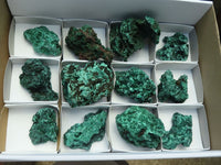 Natural Chatoyant Silky Malachite Specimens  x 12 From Kasompe, Congo - TopRock