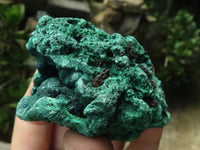 Natural Chatoyant Silky Malachite Specimens  x 12 From Kasompe, Congo - TopRock