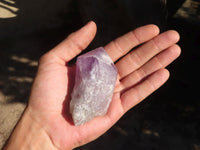 Natural Single Jacaranda Amethyst Crystals  x 12 From Solwezi, Zambia - Toprock Gemstones and Minerals 