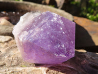 Natural Single Jacaranda Amethyst Crystals  x 12 From Solwezi, Zambia - Toprock Gemstones and Minerals 