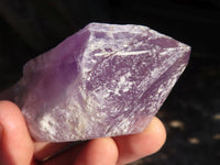 Natural Single Jacaranda Amethyst Crystals  x 12 From Solwezi, Zambia - Toprock Gemstones and Minerals 